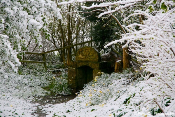 The Ladywell covered in snow